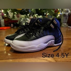 Jordan Playoff 12